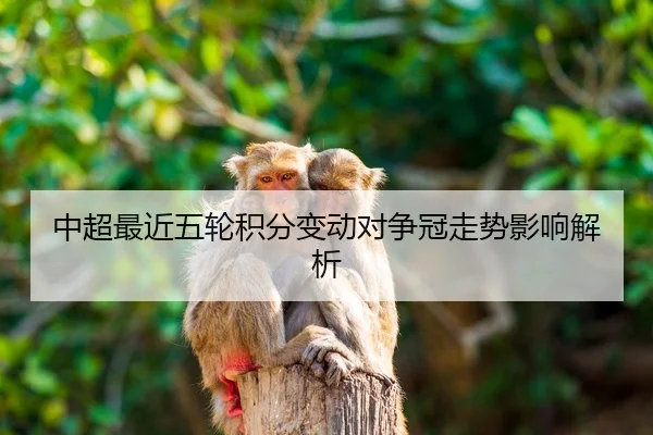 中超最近五轮积分变动对争冠走势影响解析
